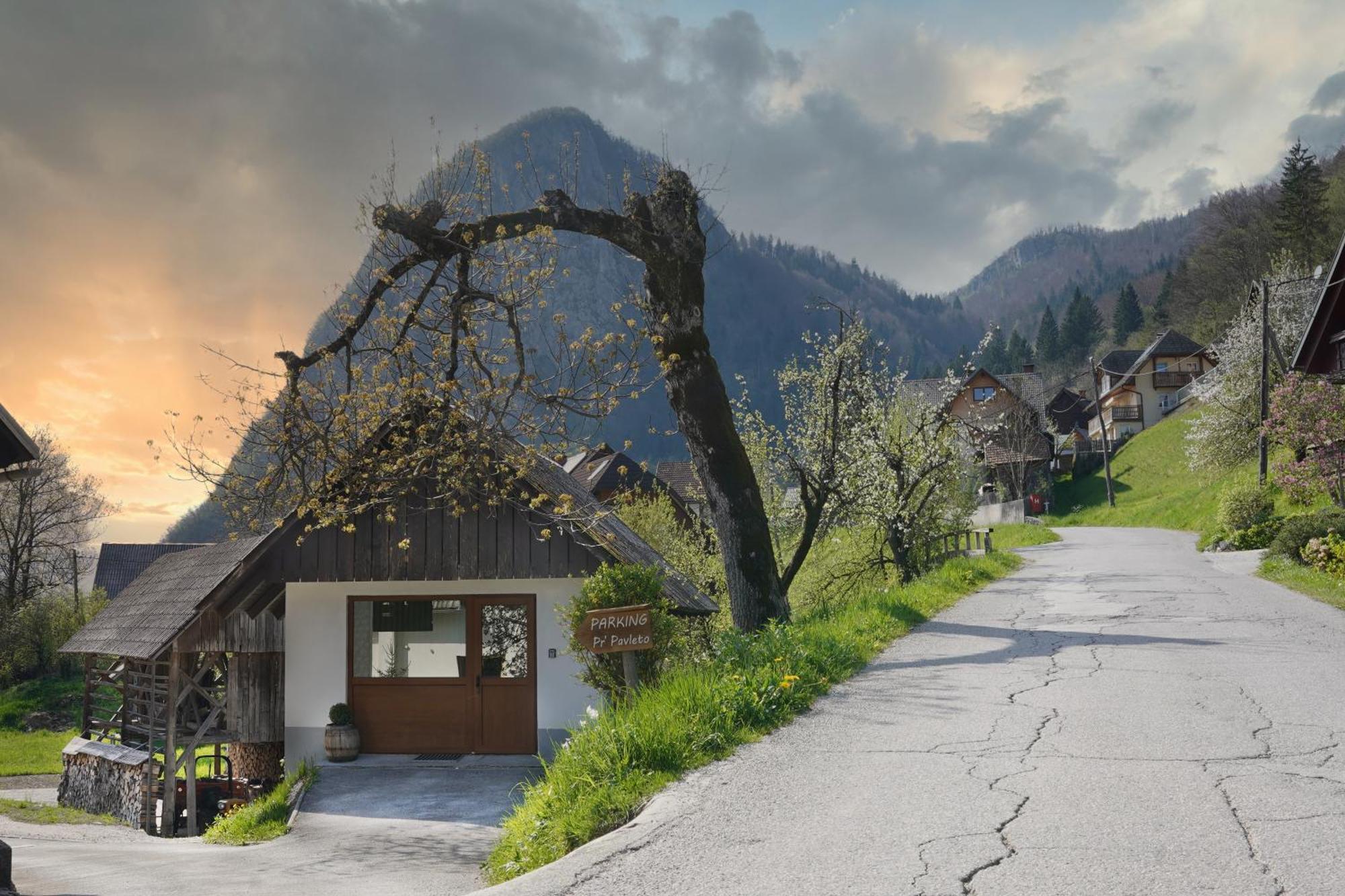 Apartments Pr' Pavleto Bohinj Esterno foto